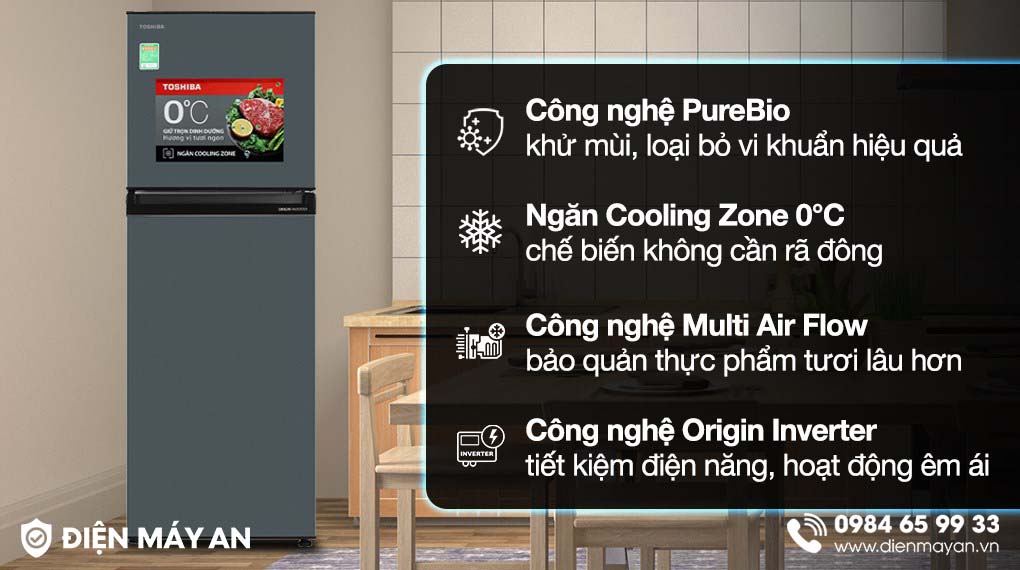 Tủ Lạnh Toshiba Inverter 233 Lít GR-RT303WE-PMV(52) - tổng quan